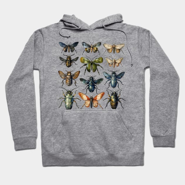 Vintage Insect Entomology Hoodie by Young Inexperienced 